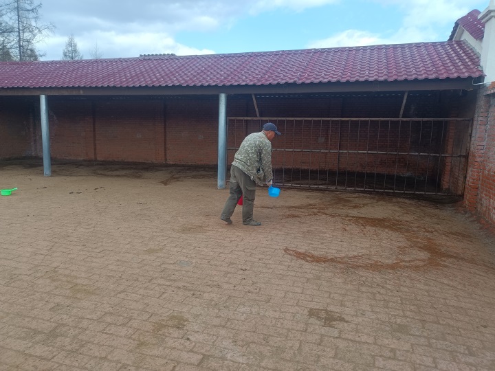 鹿鸣鹿养殖合作社开展产仔鹿舍活碱消杀 筑牢仔鹿健康成长防线